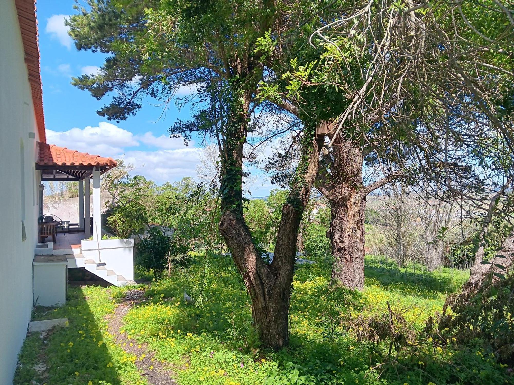 Quintinha A 35Min De Lisboa Villa Mafra Eksteriør billede